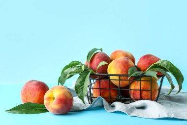 Mavi arka planda bir sepet taze şeftali.