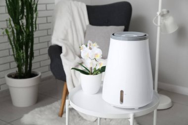 Modern nemlendirici ve saksıdaki çiçekler oturma odasının içindeki masada.