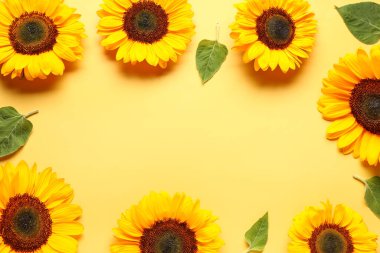 Güzel ayçiçeklerinden yapılmış çerçeve ve sarı arkaplanda yapraklar