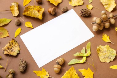 Kahverengi arka planda yapraklar, meşe palamutları ve boş kartlarla güzel sonbahar kompozisyonu