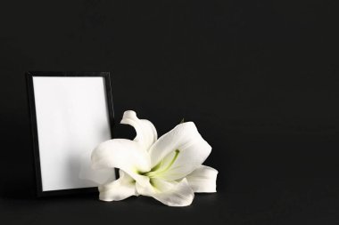 Siyah arkaplanda boş çerçevesi olan güzel zambak çiçeği