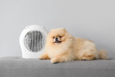 Arka planda elektrikli fan ısıtıcısı olan şirin Pomeranya spitz 'i