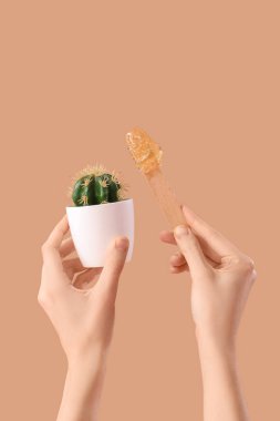 Kahverengi arka planda şekerli spatula ve kaktüs tutan kadın elleri.