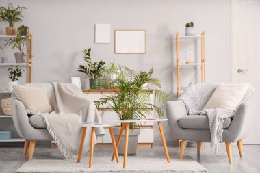 Rahat koltuklar, raf üniteleri, ev bitkileri ve oturma odasındaki kahve masası.