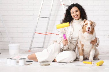 Yeni evdeki tamirat sırasında tatlı Avustralyalı çoban köpeği ve tekerlekli sandalyesi olan mutlu Afro-Amerikan ressam.