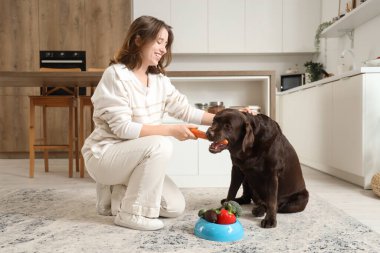Genç bir kadın mutfakta Labrador köpeğine havuç veriyor.