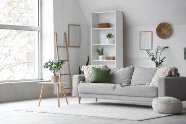 Gri kanepesi, raf ünitesi ve bitkileriyle aydınlık oturma odasının içinde.