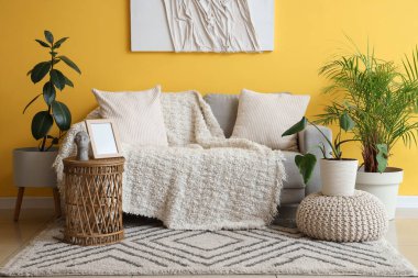 Rahat bir kanepe, örgü örülmüş beyaz battaniye, kahve masası ve oturma odasının iç tarafındaki bitkiler.