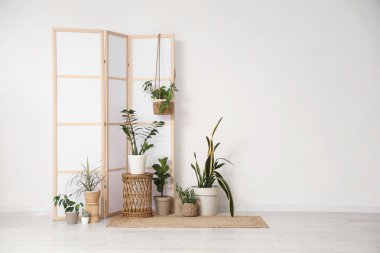 Yeşil bitkilerle kaplı bir masa ve odada ışık duvarının yanında katlanan bir ekran.