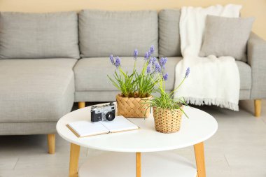 Güzel Muscari çiçekleri, fotoğraf makinesi ve kanepenin yanında not defteri olan hasır tencereler.