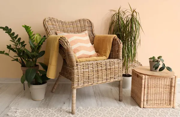 Konforlu hasır koltuk ve bej duvarın yanındaki bitkiler