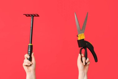 Kırmızı arka planda bahçıvan tırmığı ve secateurs olan kadın eller, yakın plan.