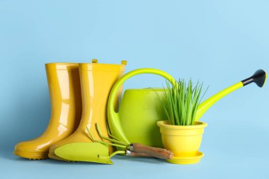 Sulama kutusu, lastik botlar ve mavi arka planda çimen olan kompozisyon. Bahçe araçları