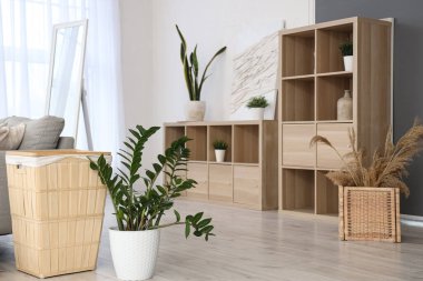 Raf birimleri ve bitkilerle modern oturma odasının içinde.