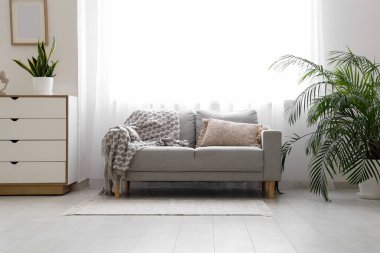 Gri kanepesi ve aydınlık perdesi olan şık bir oturma odası.