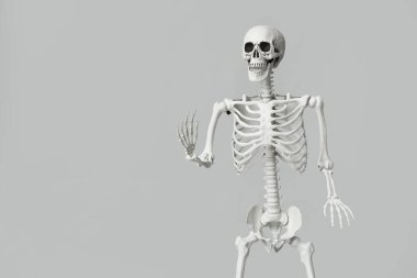 Gri arka planda korkunç insan iskeleti