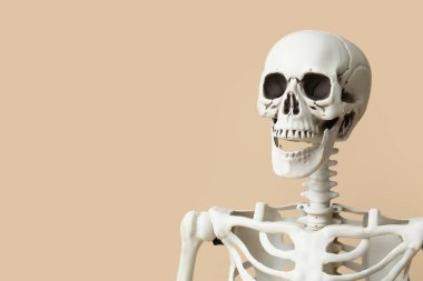 Bej arka planda korkunç insan iskeleti