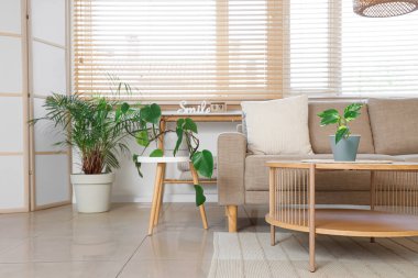 Gri kanepe, masa ve bitkilerle oturma odasının içinde.