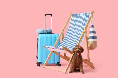 Pembe arka planda bavulu ve şezlonguyla sevimli oyuncak kaniş.