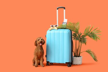 Çantalı sevimli oyuncak kaniş, tropikal bitki, pasaport ve turuncu arka planda seyahat aksesuarları.