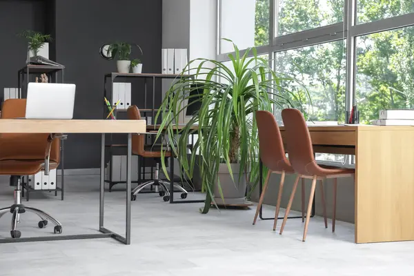 Masaları ve palmiyeleri olan modern ofisin içi