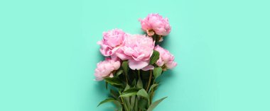 Turkuaz arka planda pembe şakayık demeti