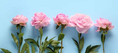 Açık mavi arka planda bir sürü güzel pembe şakayık  