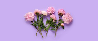 Leylak arkaplanda güzel pembe şakayıklar