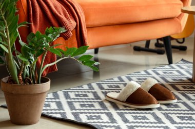 Oturma odasının iç tarafında bir çift yumuşak terlik.