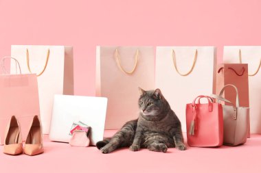 Alışveriş torbaları, modern dizüstü bilgisayarı, cüzdanı ve pembe arka planda şık topuklu ayakkabıları olan sevimli bir kedi.