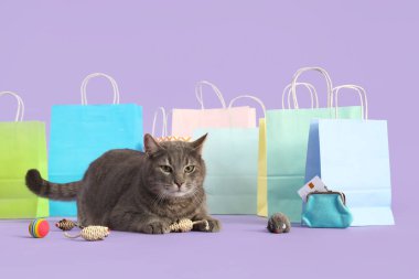 Alışveriş torbaları ve leylak arka planda evcil oyuncakları olan sevimli bir kedi.