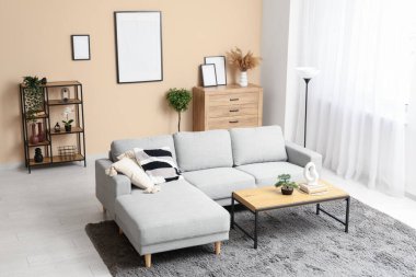 Gri kanepe, sehpa ve resimli aydınlık oturma odasının içi.