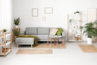 Rahat kanepesi, saksısı, sehpası ve raf ünitesi olan modern oturma odasının içinde.