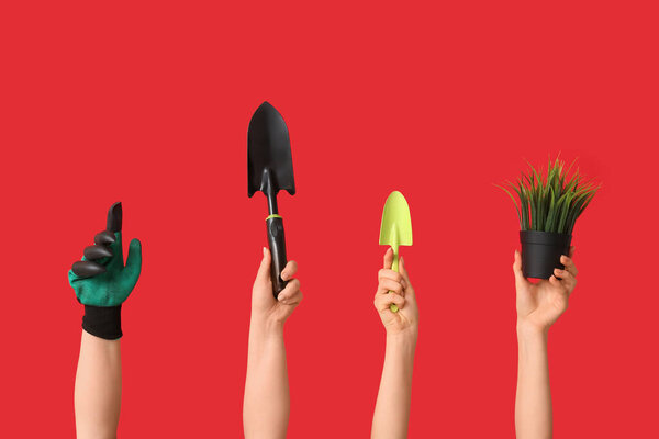 Руки женщины с садовыми лопатами, перчатками и растениями на красном фоне