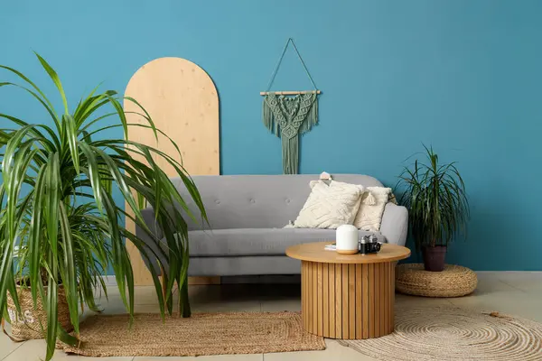 Koltuğu, sehpası ve mavi duvarın yanında bitkisi olan şık bir oturma odası.