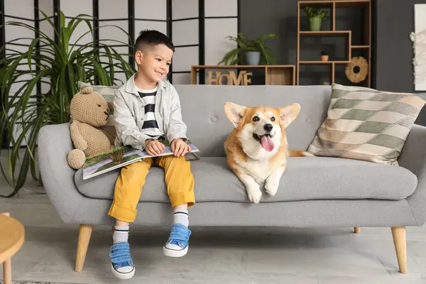 Küçük mutlu Asyalı çocuk evde kanepede tatlı Corgi köpeğiyle kitap okuyor.