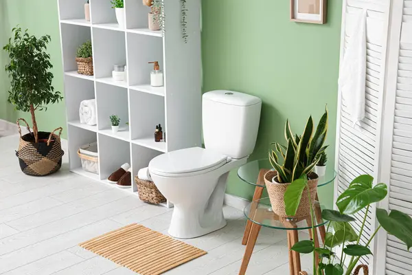 Tuvaletin içinde klozet, raf ünitesi, katlanan ekran ve yeşil duvarın yanındaki bitkiler.