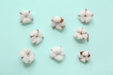 Renk arkaplanında pamuk çiçekleri olan kompozisyon