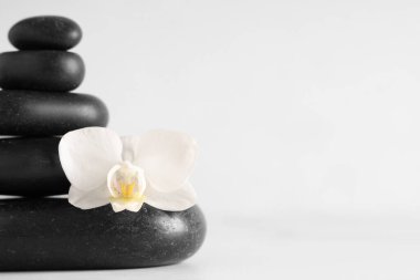 Siyah spa taşları ve açık arkaplanda güzel bir orkide çiçeği yığını.