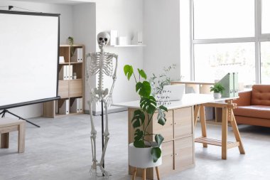 Masada insan iskeleti modeli, projektör ekranı ve modern dizüstü bilgisayarı olan hafif bir hastane.