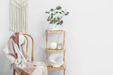 Sandalyeli şık bir oda ve raflarda okaliptüs dalları.