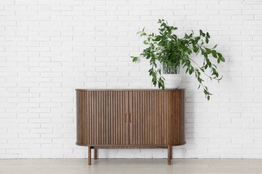 Beyaz tuğla duvarın yanında ev bitkisi olan şık ahşap dolap