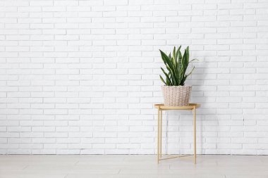 Beyaz tuğla duvarın yanında çiçekli şık bir kahve masası.