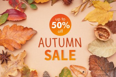 Sonbahar yapraklarından yapılmış çerçeve ve bej arka planda orman dekoru