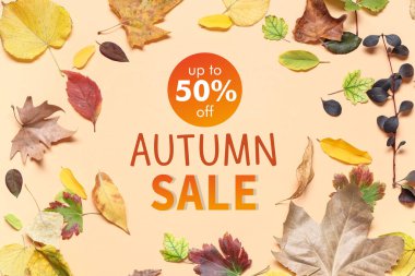 Renk arkaplanındaki farklı sonbahar yapraklarından yapılmış çerçeve