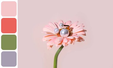 Aydınlık arkaplanda zarif bir yüzüğü olan güzel Gerbera çiçeği