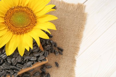 Güzel ayçiçeği ve beyaz ahşap arka planda tohumları olan bir kutu.