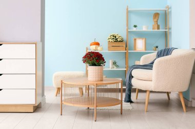 Beyaz kanepe ve güzel kasımpatı çiçekleri olan modern oturma odasının içinde.