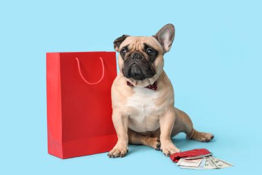 Şirin bir Fransız bulldog alışveriş çantası ve cüzdanın yanında oturuyor ve mavi arka planda parası var.