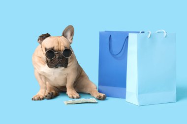 Güneş gözlüklü ve paralı şirin Fransız bulldog 'u mavi arka planda alışveriş torbalarının yanında oturuyor.